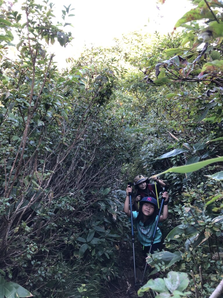 額取山登山コース
