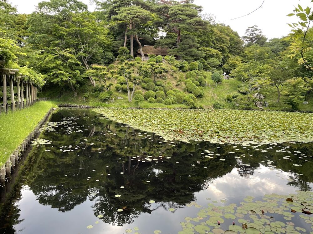 霞ヶ池