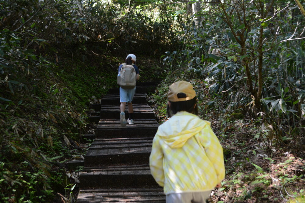 尾瀬登山