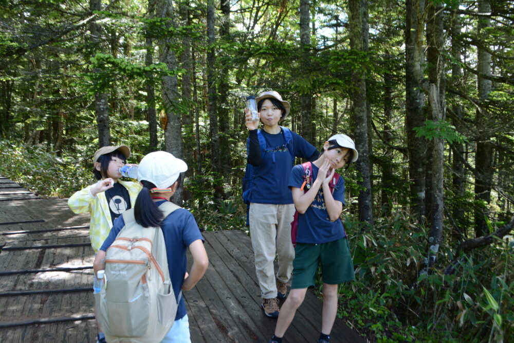 沼山峠展望台