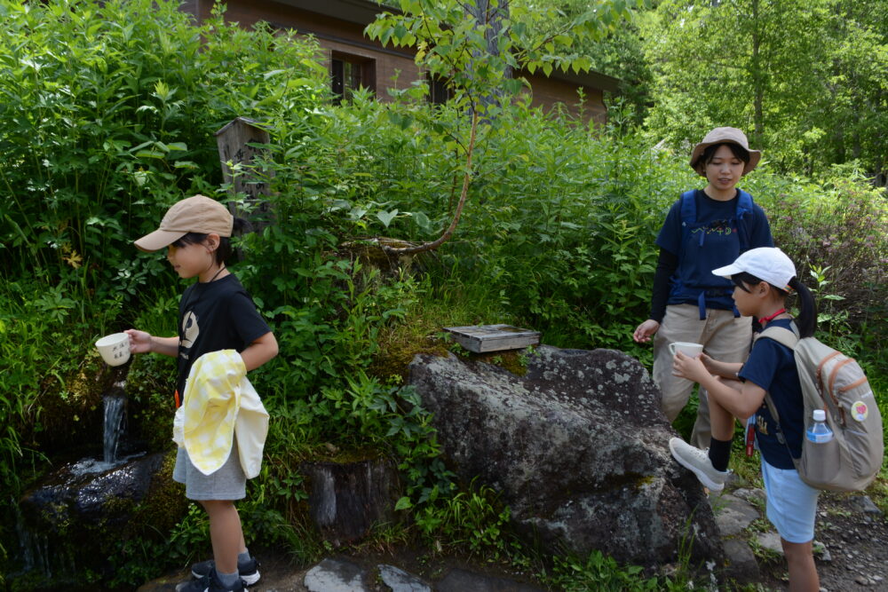 長蔵小屋湧水