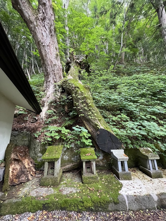 檜枝岐鎮守神