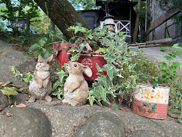 長瀞オートキャンプ場