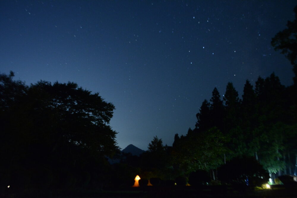 Chillax Garden CAMP