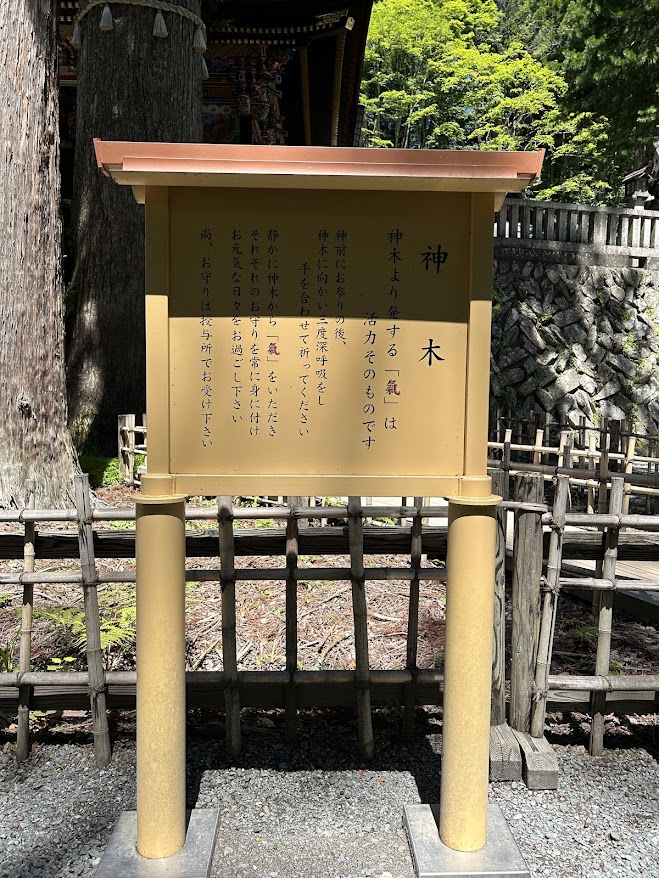 三峰神社ご神木