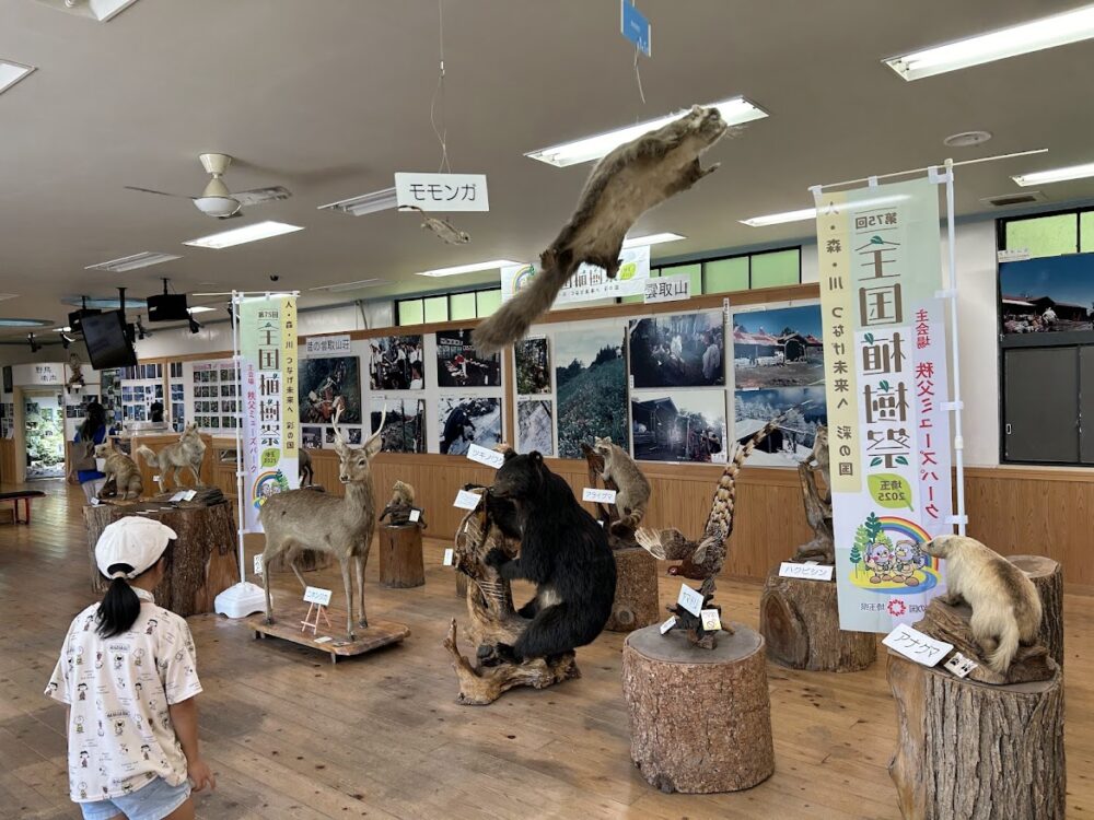 三峰ビジターセンター