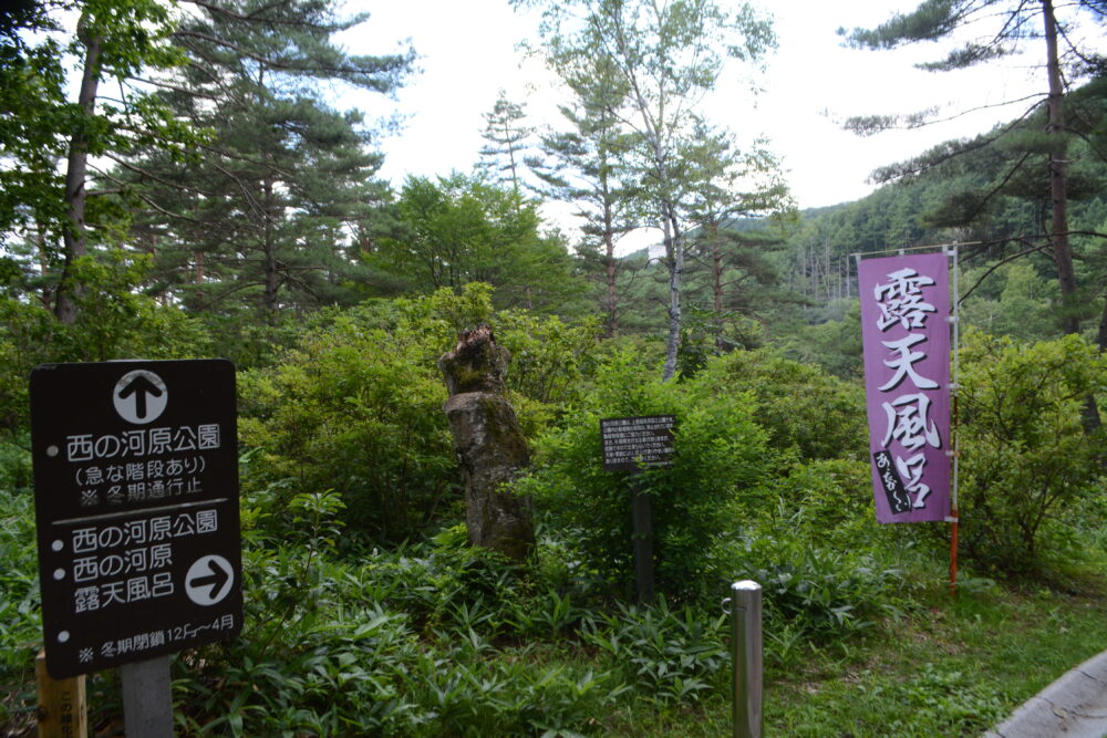 西の河原公園遊歩道