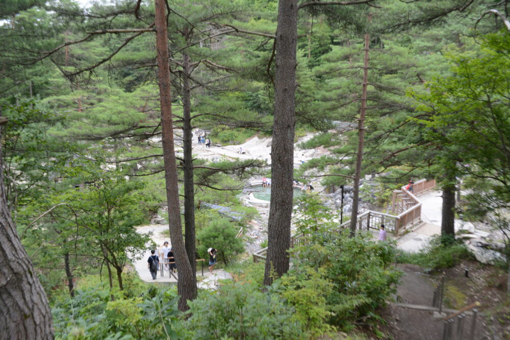 西の河原公園遊歩道