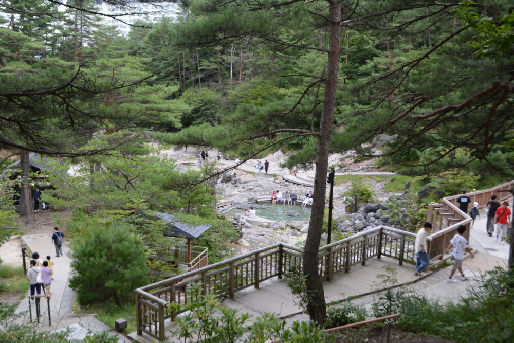 西の河原公園遊歩道