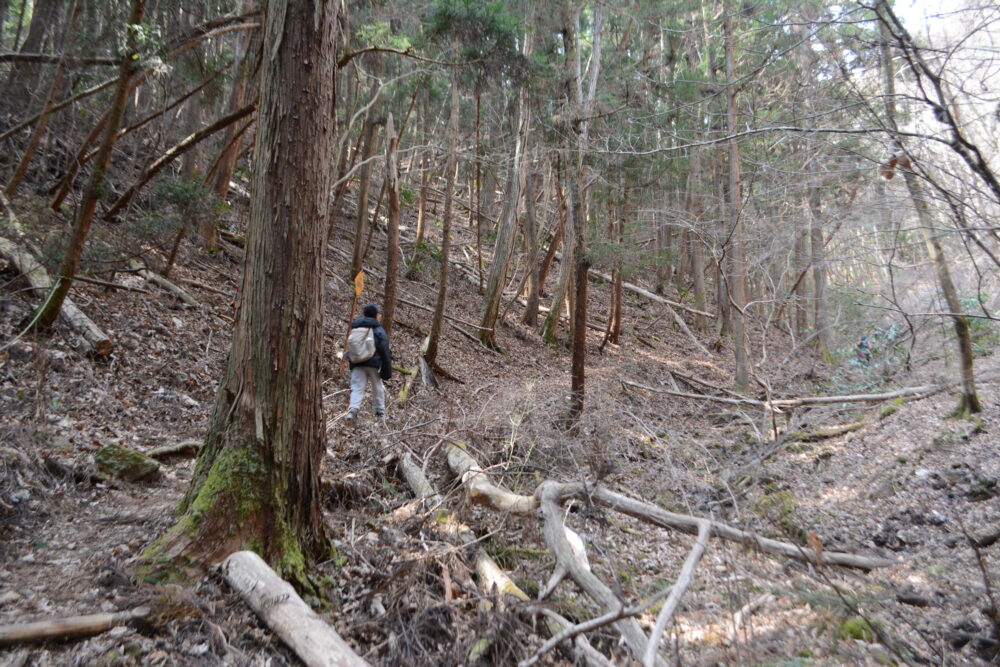 白河関山登山道