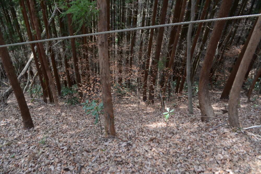 白河関山登山道