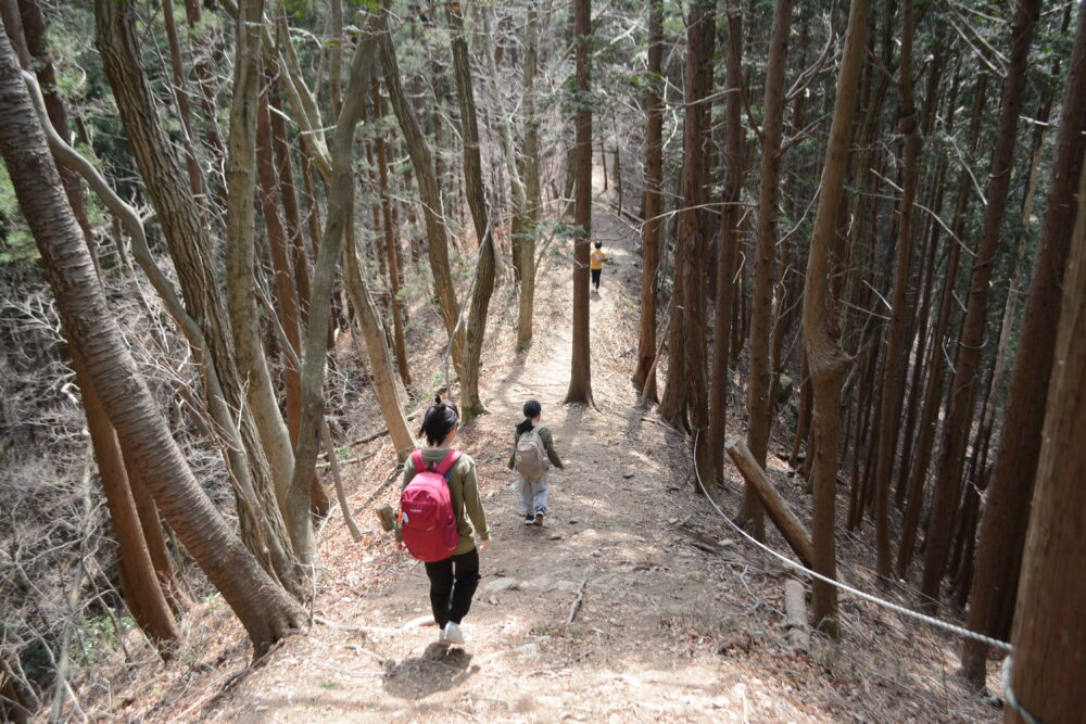 白河関山登山道