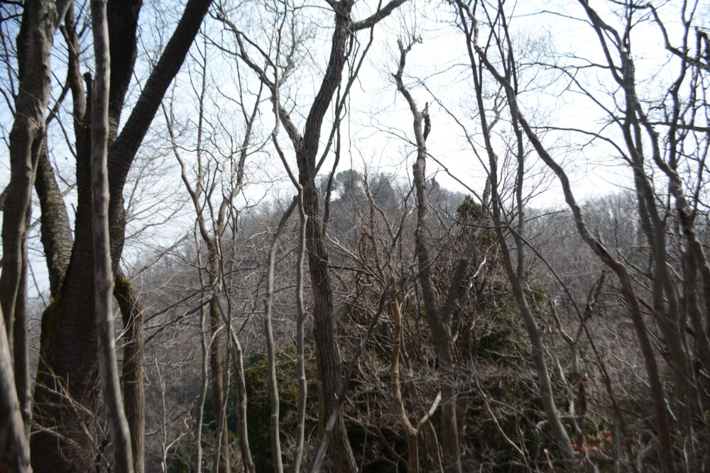 白河関山登山道