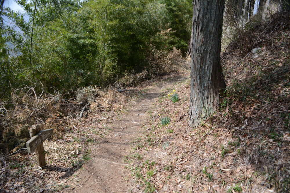 白河関山登山道