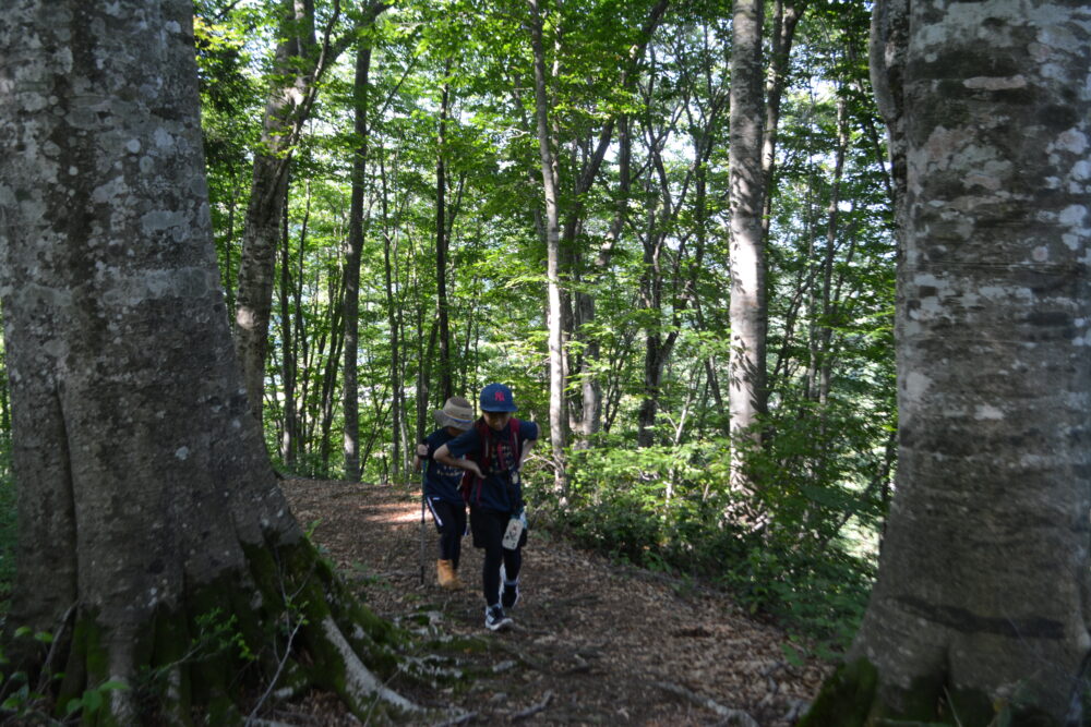 蒲生岳登山