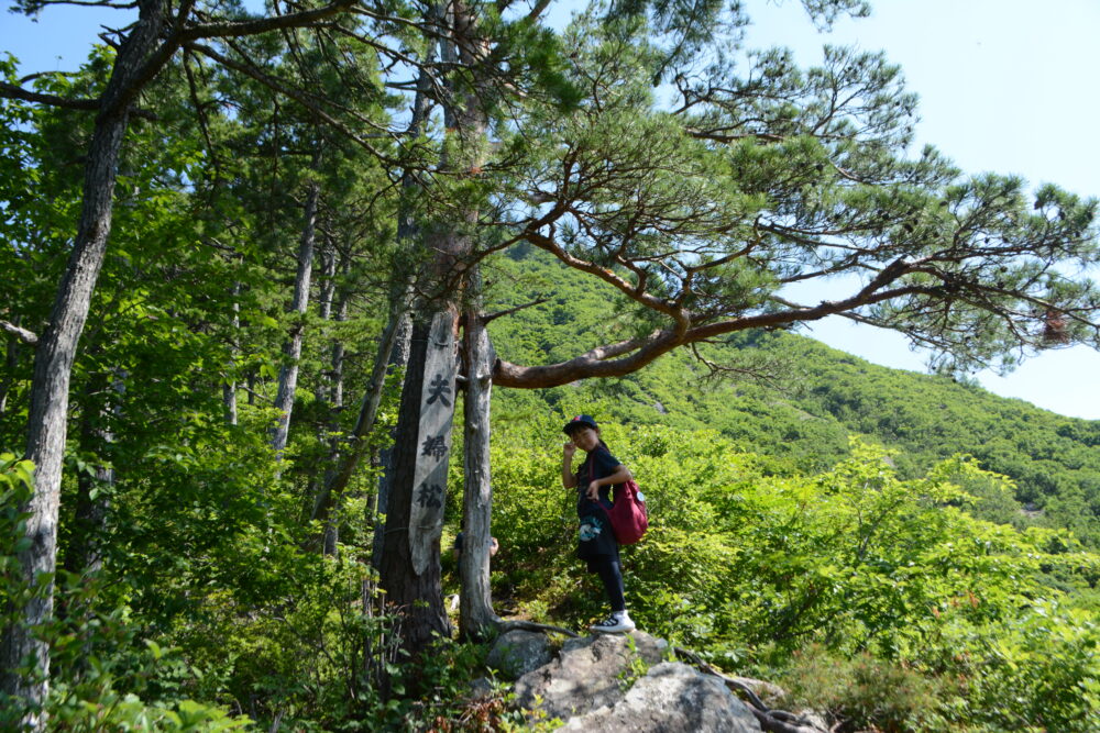 蒲生岳登山