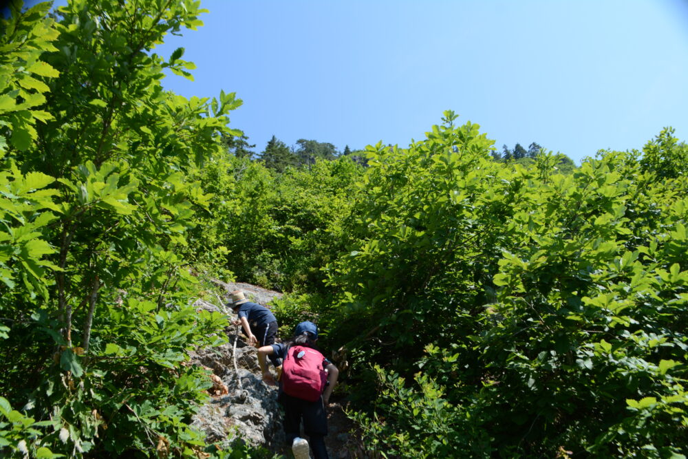 蒲生岳登山