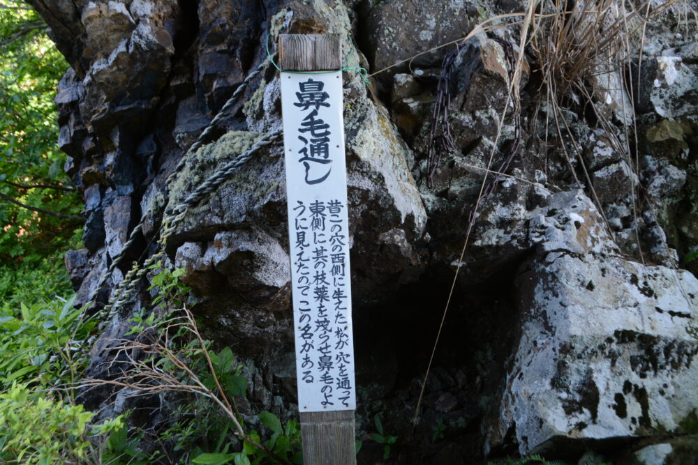 鼻毛通し