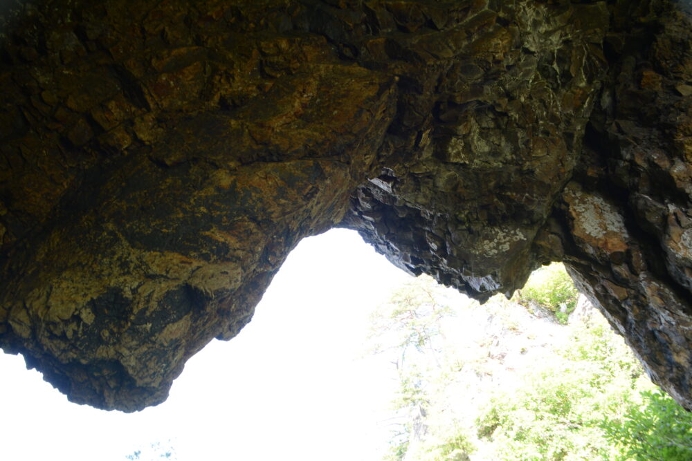 蒲生岳鼻毛通し