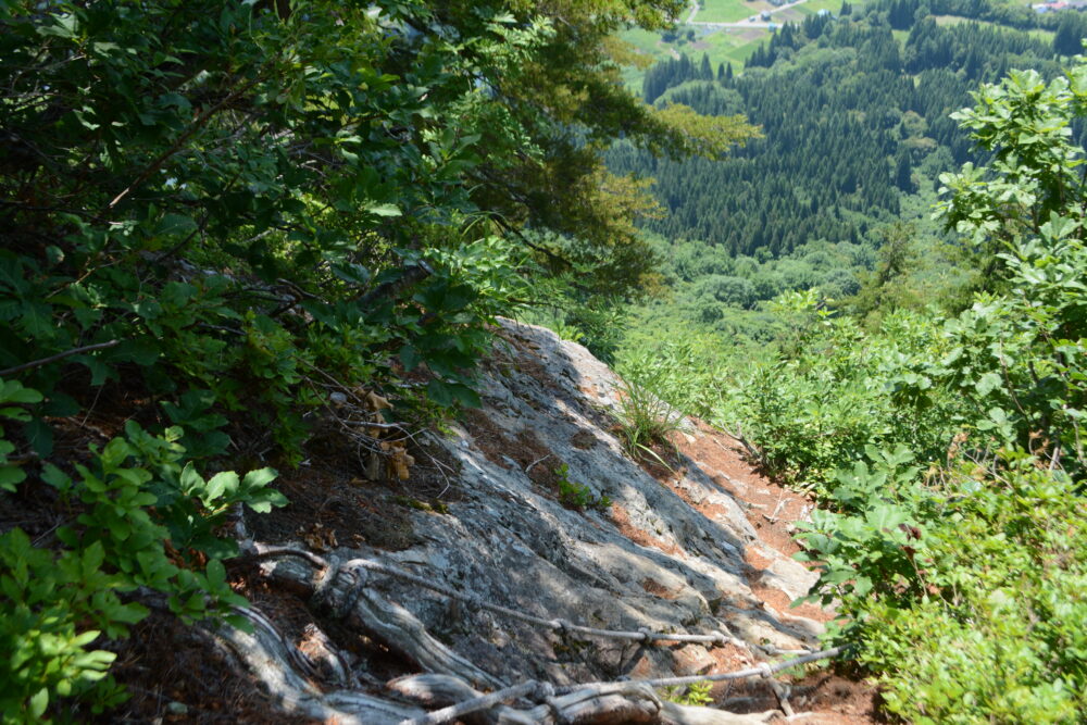 蒲生岳登山