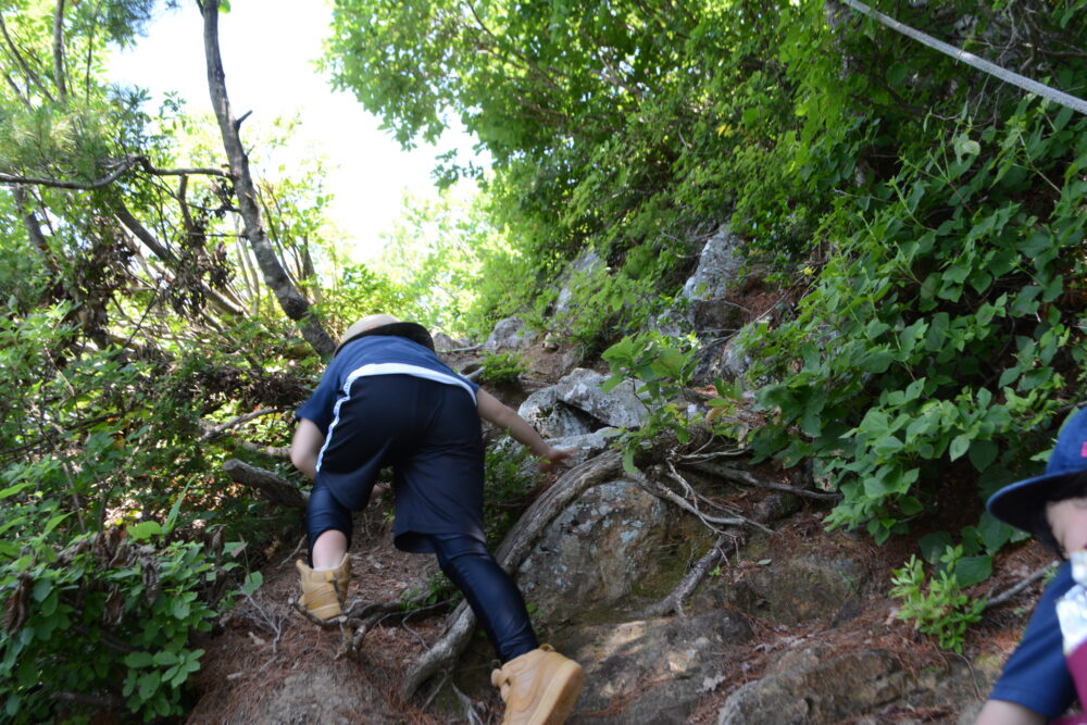 蒲生岳登山