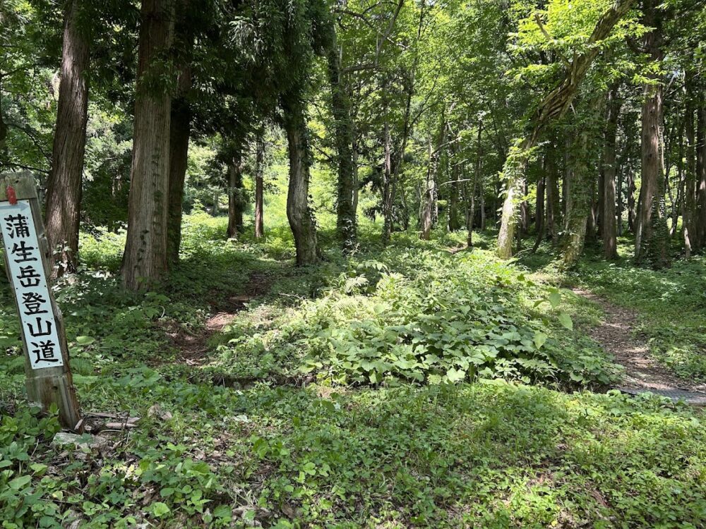 蒲生岳登山口