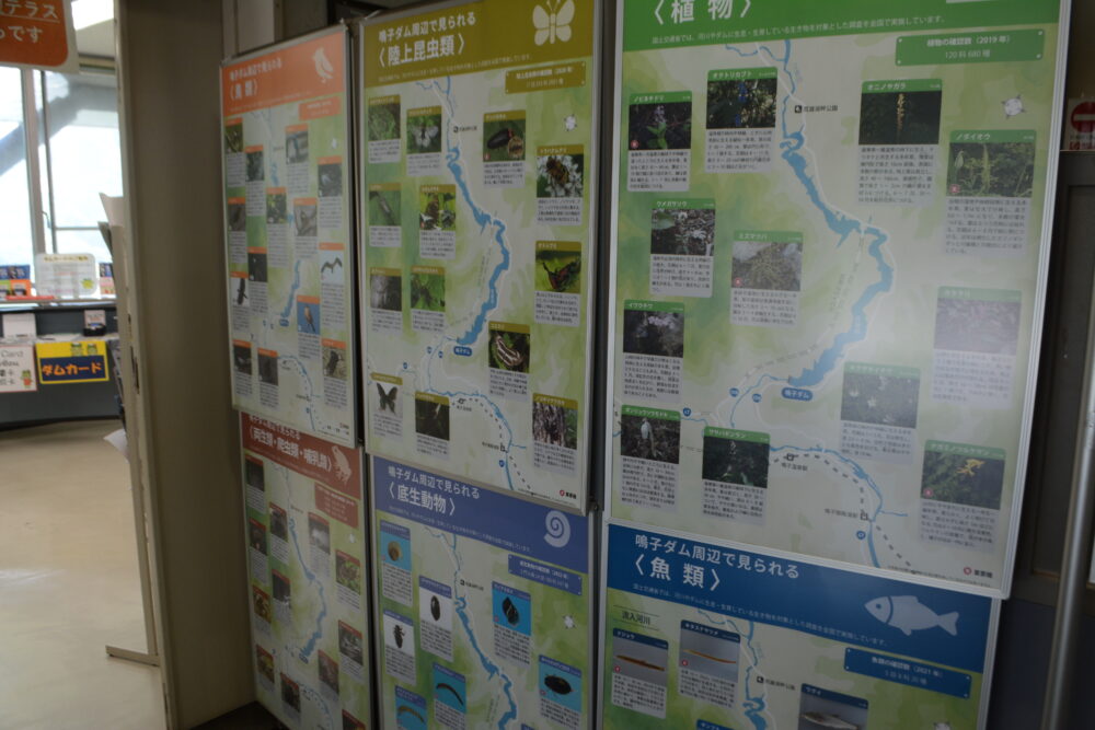 鳴子ダム展示室