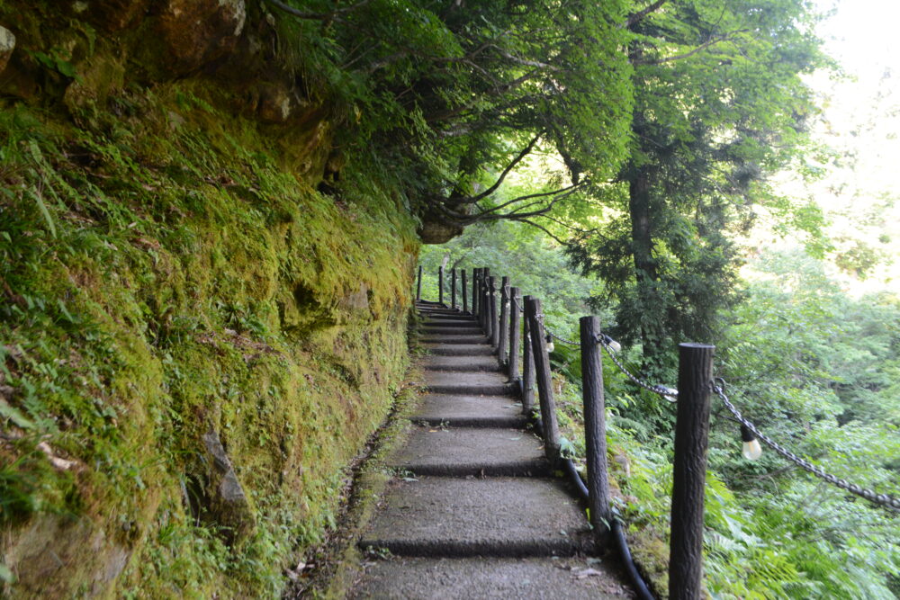 白銀公園散策路