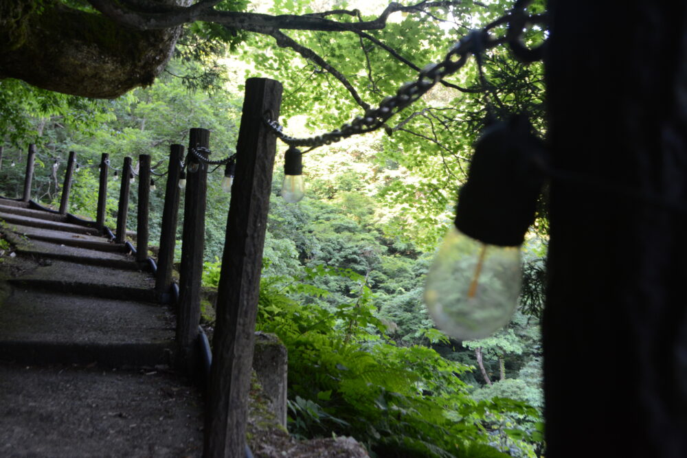 白銀公園散策路