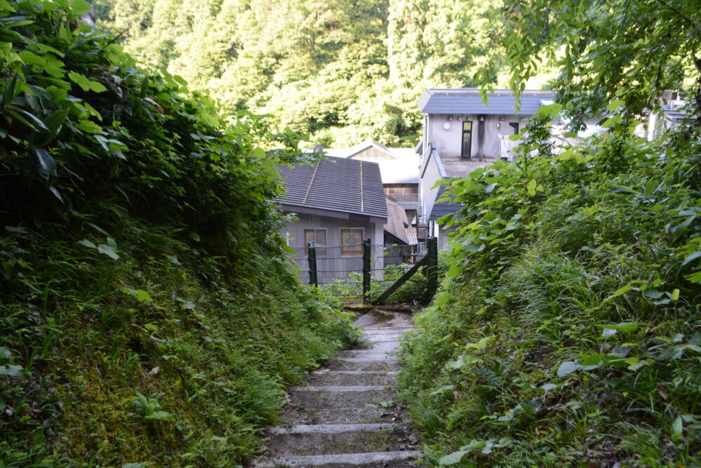 白銀公園散策路