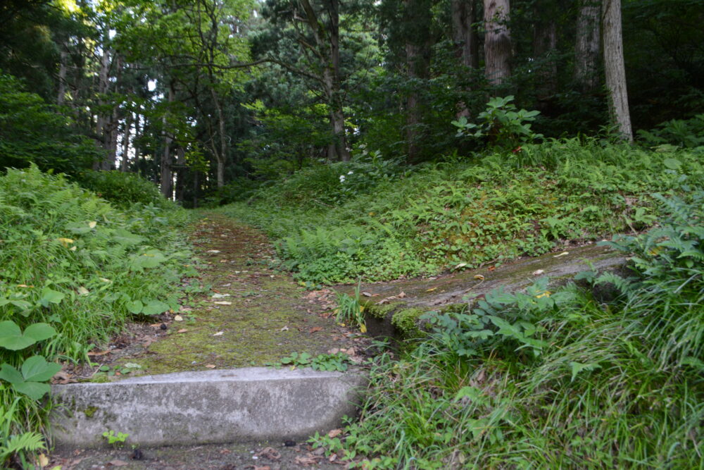 白銀公園散策路