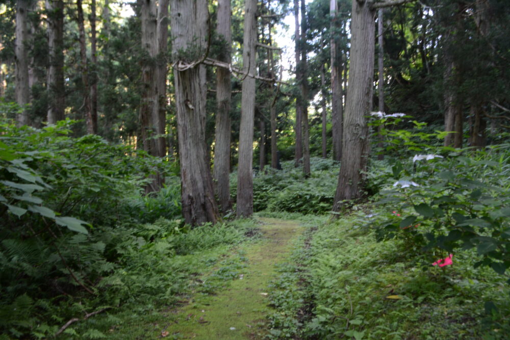 白銀公園散策路