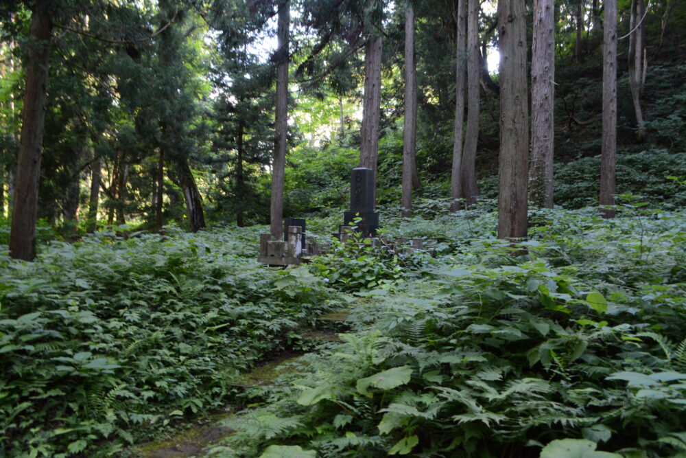 白銀公園散策路