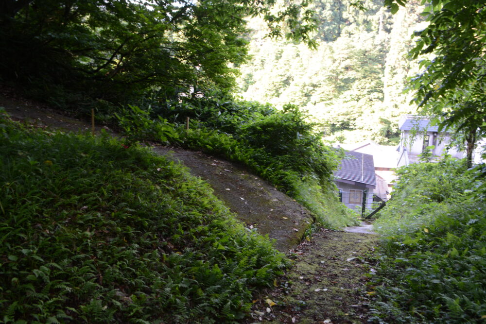 白銀公園散策路