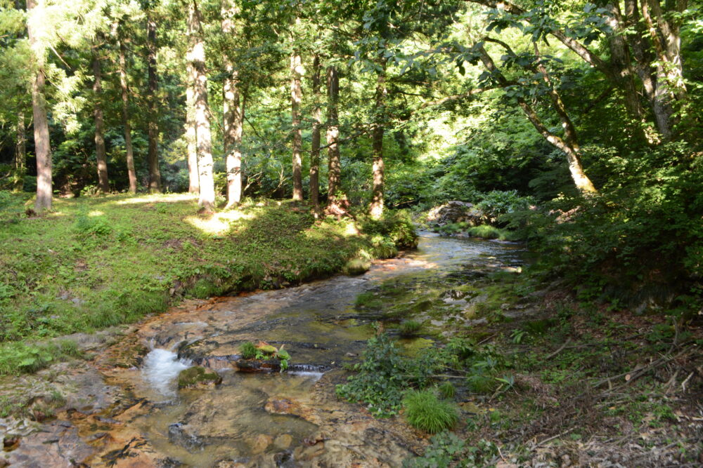 銀山温泉河鹿橋