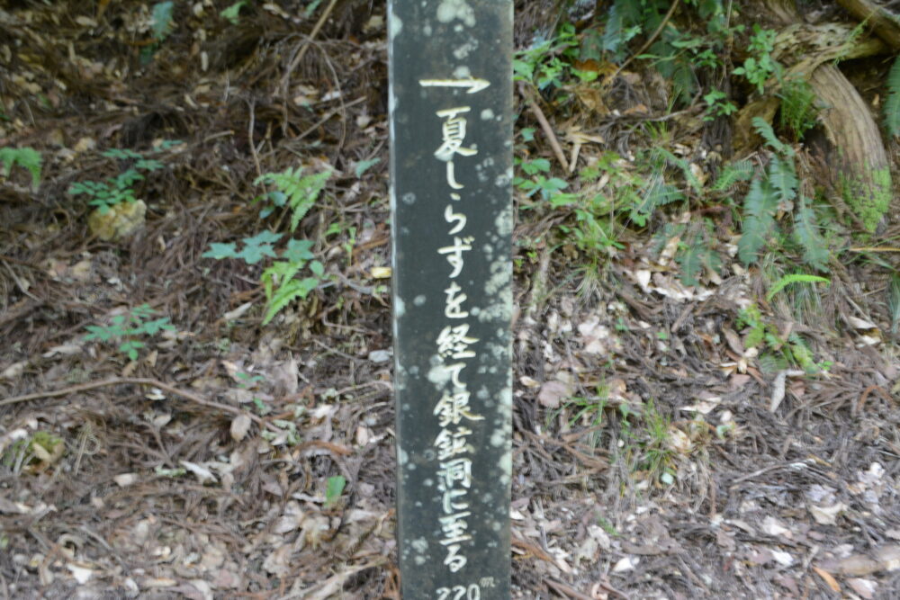 夏しらず坑
