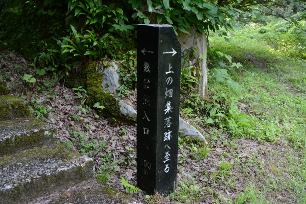 白銀公園散策路