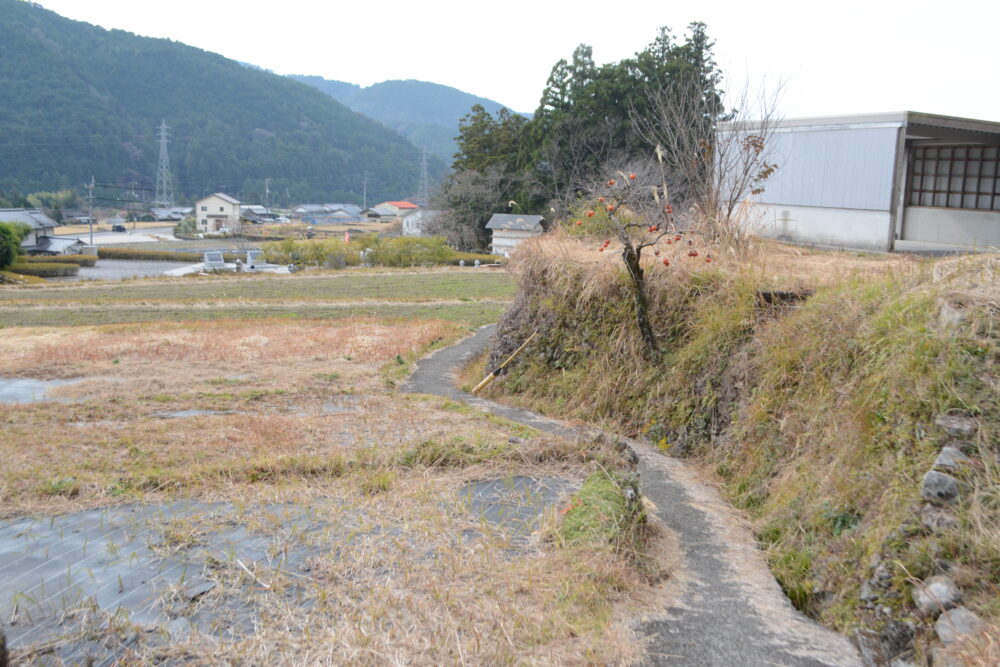 やなせたかし朴ノ木公園