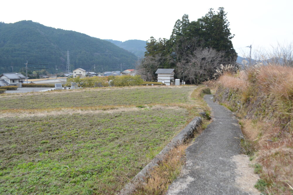 やなせたかし朴ノ木公園